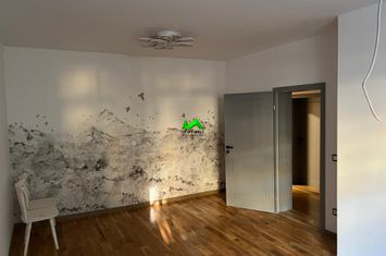 Casă - 4 camere de inchiriat HIPODROM 2 - Sibiu anunturi imobiliare Sibiu