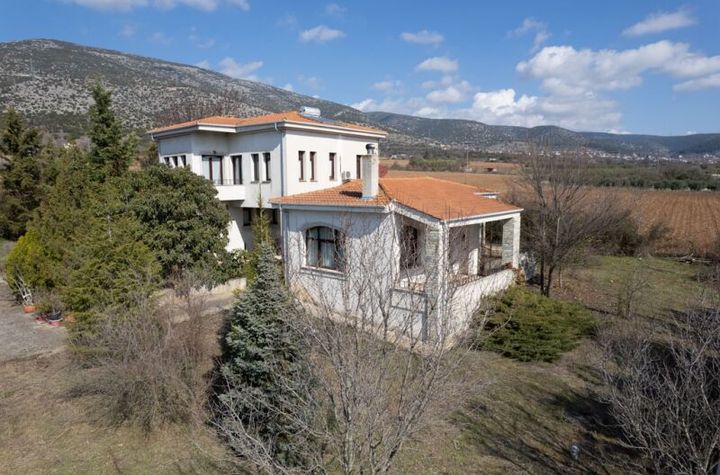 Casă tradițională 278 mp în Philippi, teren 4.200 mp anunturi imobiliare Grecia