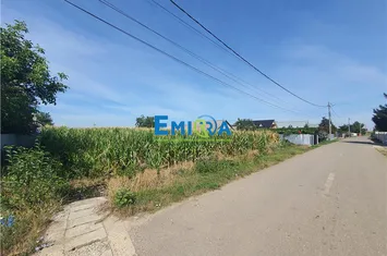 Teren Extravilan de vanzare LETEA VECHE - Bacau anunturi imobiliare Bacau