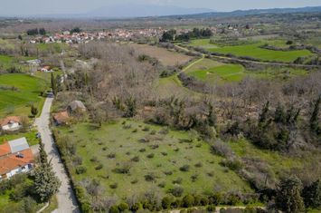 Teren construibil 4.000 mp în Oreskia anunturi imobiliare Grecia