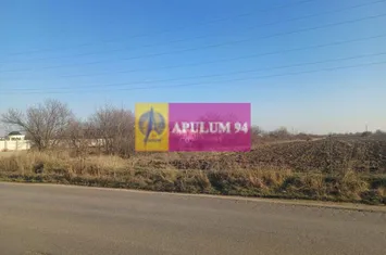 Săbăreni, teren intravilan 8800 mp, pe DJ 602, pretabil hale, depozite anunturi imobiliare Giurgiu