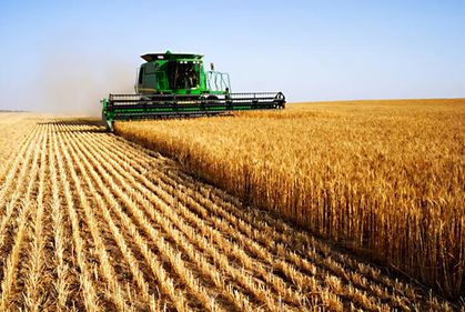 Investiţiile în agricultură, cele mai profitabile. Domeniul agricol este principalul motor al economiei.