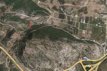 Teren agricol 5.000 mp în Chalkero, Kavala anunturi imobiliare Grecia