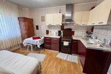 Apartament 2 camere de vanzare TRUSESTI - Botosani anunturi imobiliare Botosani