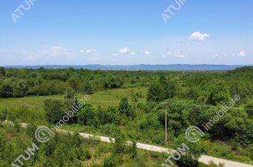 Teren Intravilan de vanzare AVRIG - Sibiu anunturi imobiliare Sibiu