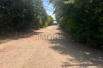 FERMĂ AGRICOLĂ PREMIUM | JUDEȚULUI CONSTANȚA |  2.000 HA | POSIBILITATE DE EXTINDERE LA 6.000 HA anunturi imobiliare Constanta