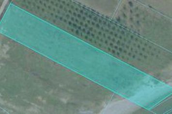 Teren agricol 4.997 mp, prima linie la mare, Paralia Pigion anunturi imobiliare Grecia