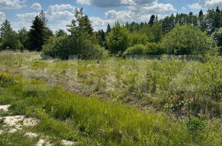 Teren de vanzare RADAUTI - Suceava anunturi imobiliare Suceava