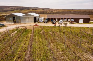 Vie de 115 Hectare în satul Dud, județul Arad anunturi imobiliare Arad