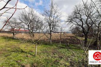 Teren Intravilan de vanzare NAZNA - Mures anunturi imobiliare Mures