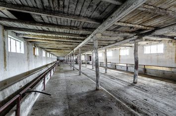 Spațiu industrial de vanzare VLADIMIRESCU - Arad anunturi imobiliare Arad