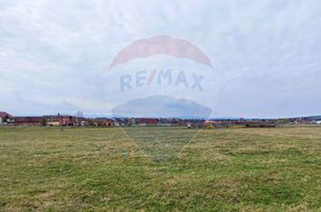 Teren de vanzare zona industriala Sura Mica anunturi imobiliare Sibiu