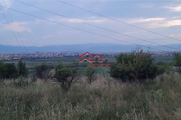 Teren Extravilan de vanzare GUSTERITA - Sibiu anunturi imobiliare Sibiu