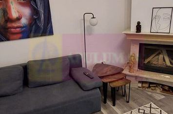 Casă singur curte lângă parcul Herăstrău | Aviatorilor anunturi imobiliare Bucuresti