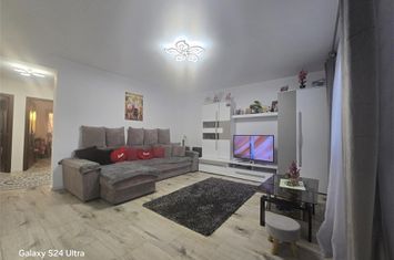 Vilă - 6 camere de vanzare LUNCA CETATUII - Iasi anunturi imobiliare Iasi