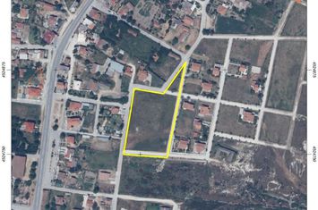Teren construibil 6888 mp în Chaidefto anunturi imobiliare Grecia