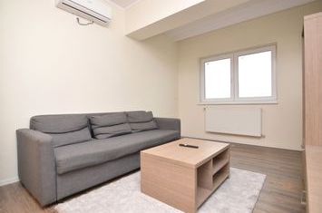 Apartament 2 camere de inchiriat DRISTOR - Bucuresti anunturi imobiliare Bucuresti