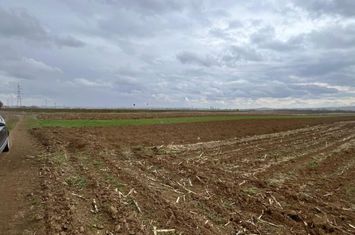 Teren de vanzare HORODNIC - Suceava anunturi imobiliare Suceava