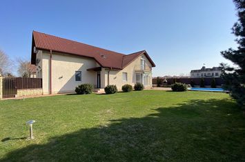 Vila cu piscina | gradina 600 mp | zona Iancu Nicolae | anunturi imobiliare Bucuresti