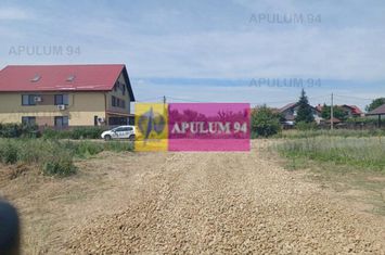 Gulia, lot de casa 528 mp, cu utilități în apropiere anunturi imobiliare Dambovita