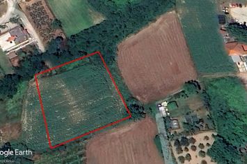 Teren construibil 3046 mp în Agios Ioannis anunturi imobiliare Grecia