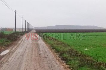 Dragomiresti-Vale - Strada Ulmului, teren intravilan, suprafata 3.750 mp anunturi imobiliare Bucuresti