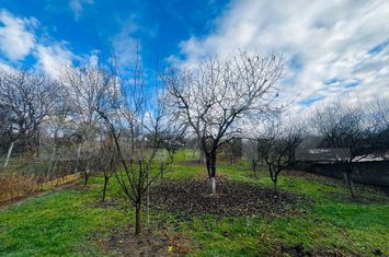 Teren de vanzare TURDA - Cluj anunturi imobiliare Cluj