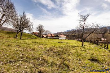 Casă - 5 camere de vanzare BRAN - Brasov anunturi imobiliare Brasov