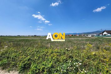 De vanzare teren intravilan 511mp, cu utilitati, Partos anunturi imobiliare Alba