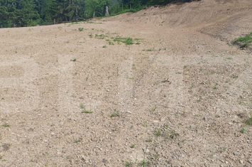 Teren de vanzare VATRA DORNEI - Suceava anunturi imobiliare Suceava