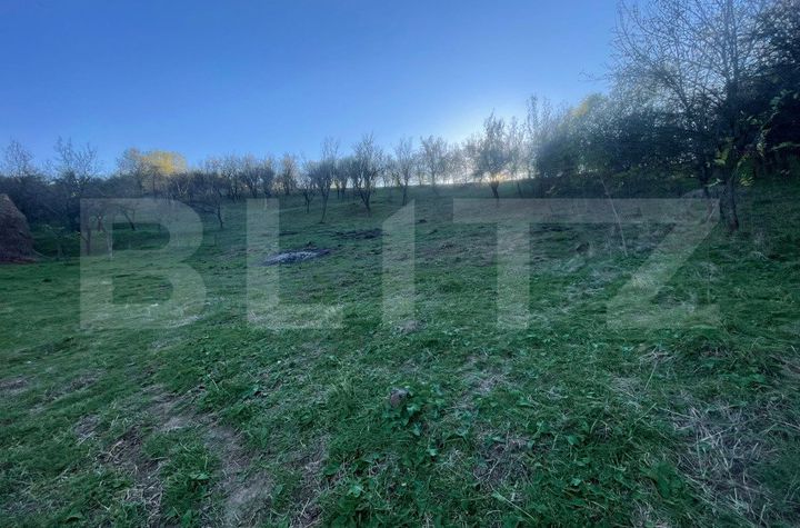 Teren de vanzare OARDA - Alba anunturi imobiliare Alba