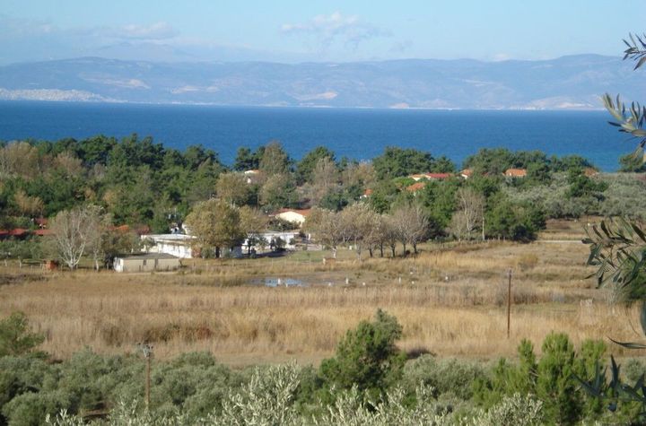 Teren construibil 12.975 mp în Skala Rachoniou anunturi imobiliare Grecia