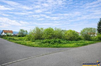 Teren Intravilan de vanzare PREJMER - Brasov anunturi imobiliare Brasov