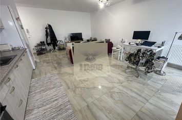 Apartament 2 camere de inchiriat CENTRAL - Sibiu anunturi imobiliare Sibiu