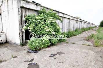 Hala 1244 mp, 1478 mp teren, Ungheni, 0% comision anunturi imobiliare Mures