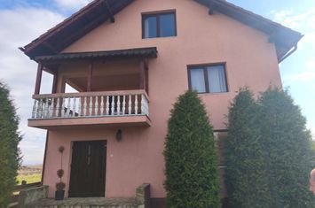 Vilă - 6 camere de vanzare RADAUTI - Suceava anunturi imobiliare Suceava