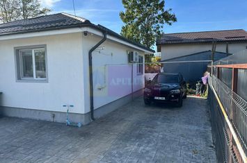 Casă 3 camere + dependințe, curte 380, Săbăreni anunturi imobiliare Giurgiu