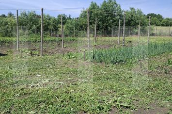 Teren de vanzare CATAMARESTI-DEAL - Botosani anunturi imobiliare Botosani