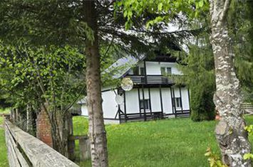 Vilă - 7 camere de vanzare MALINI - Suceava anunturi imobiliare Suceava