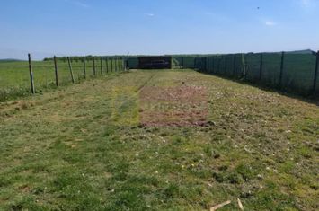 Teren Extravilan de vanzare BANESTI - Prahova anunturi imobiliare Prahova