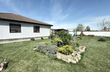 Casă - 4 camere de vanzare VETIS - Satu Mare anunturi imobiliare Satu Mare