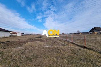 De vanzare teren intravilan 954mp, Oarda de Sus anunturi imobiliare Alba