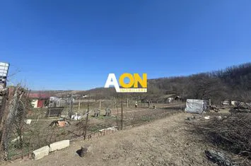 Casa 3 Camere Sat Ciugud, 1500mp Teren anunturi imobiliare Alba