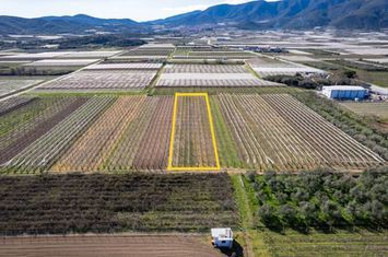 Teren agricol 2.235 mp în Elaiochori anunturi imobiliare Grecia