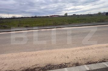 Teren de vanzare CERNELE - Dolj anunturi imobiliare Dolj