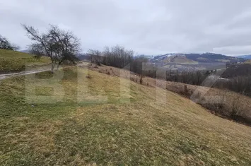 Teren de vanzare ABRUD - Alba anunturi imobiliare Alba