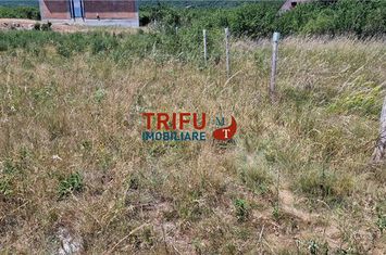 Teren Intravilan de vanzare CETATE - Alba anunturi imobiliare Alba