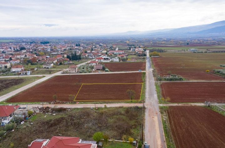 Teren construibil 980 mp în Prosotsani, Drama anunturi imobiliare Grecia