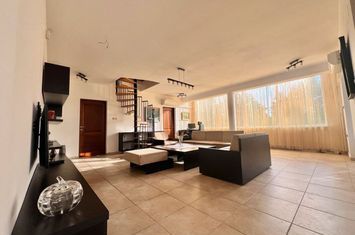 CASA INDIVIDUALA BRANESTI INTRE LAC SI PADURE! anunturi imobiliare Bucuresti