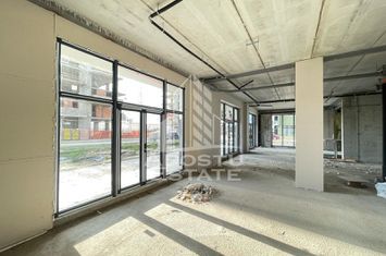 Spatiu comercial, 168 mp+ terasa 170 mp, Ateneo Torontalului anunturi imobiliare Timis